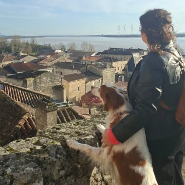 Voyager avec son chien : BBTE vous souhaite la bienvenue !