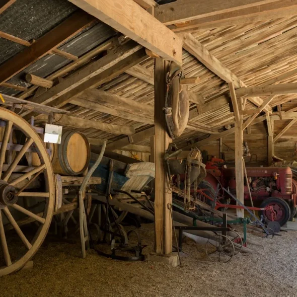 Visiter le vignoble en famille