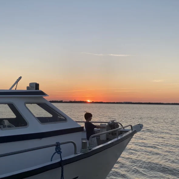 Top 5 des balades sur l’estuaire de la Gironde