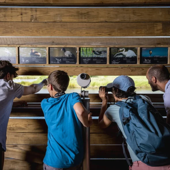 Destination Blaye Bourg Terres d’Estuaire