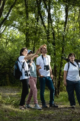 Activités & Loisirs