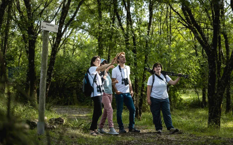 Activités & Loisirs