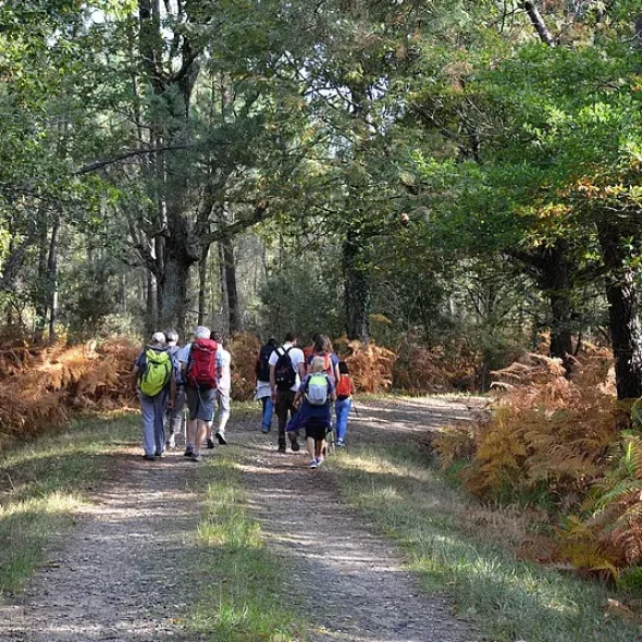 Destination Blaye Bourg Terres d’Estuaire