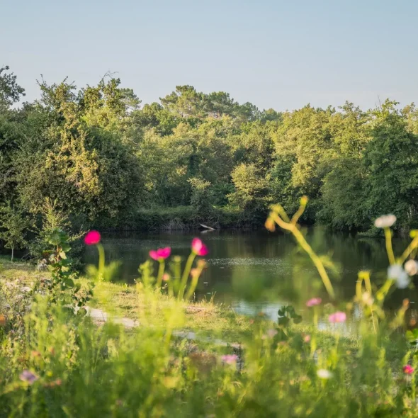 Que faire à Saint-Savin ?