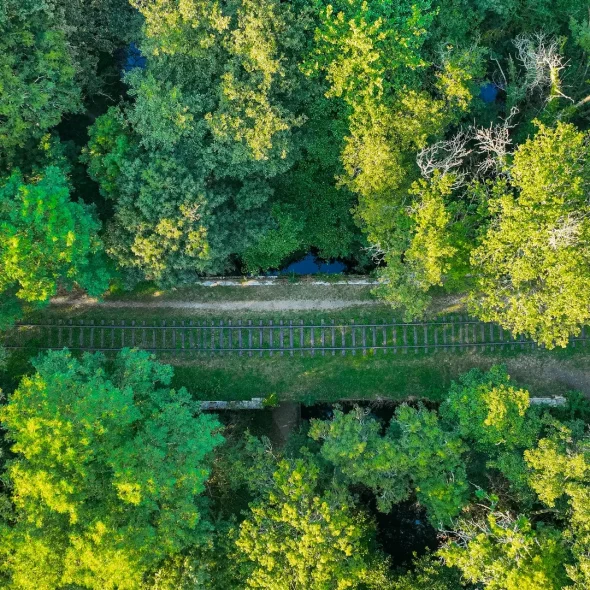 Que faire à Saint-Savin ?