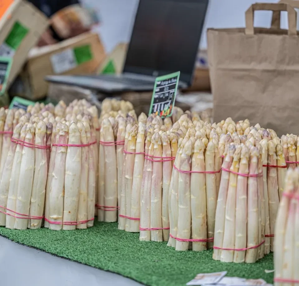 Fête de l’Asperge du Blayais