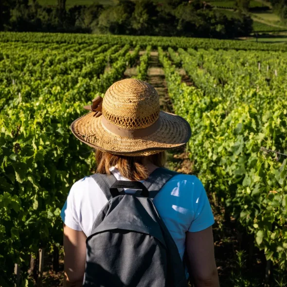Destination Blaye Bourg Terres d’Estuaire