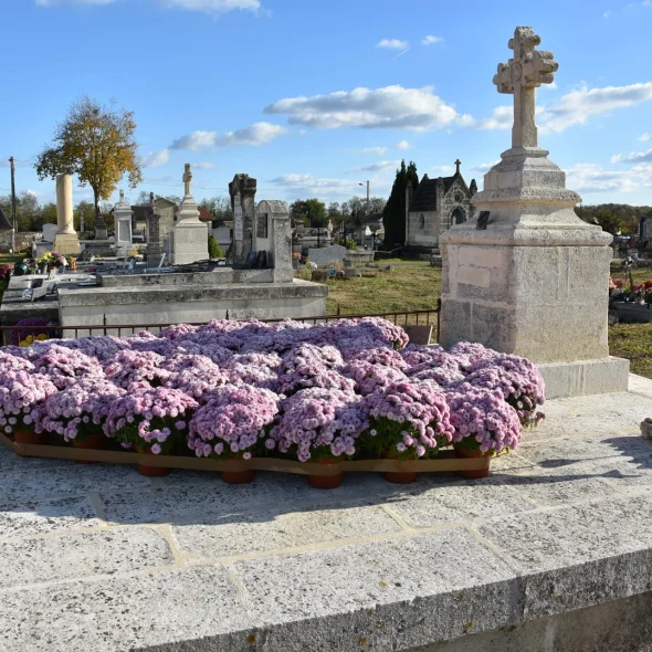 Dimanche au vert : la boucle de Montalon
